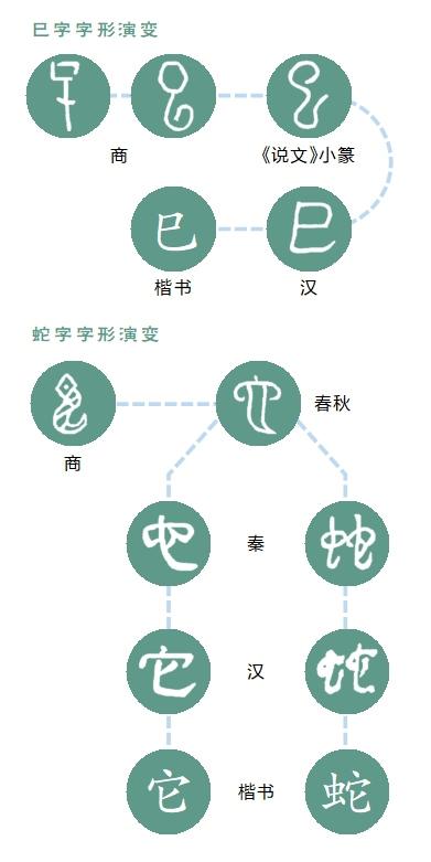 巳字 演变_20241225022858_s.jpg